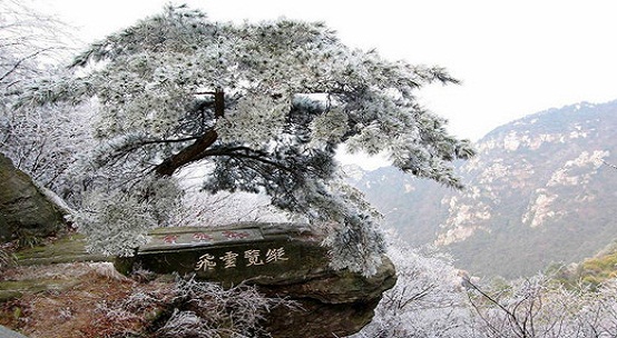 智慧庐山建设